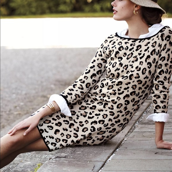 Anthropologie Dresses & Skirts - Anthropologie Leopard Sweater Knit Dress Sz S EUC